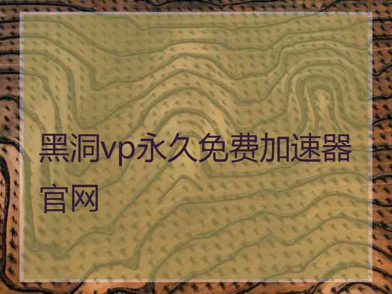 黑洞vp永久免费加速器官网