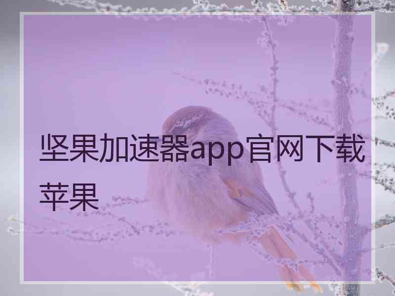 坚果加速器app官网下载苹果