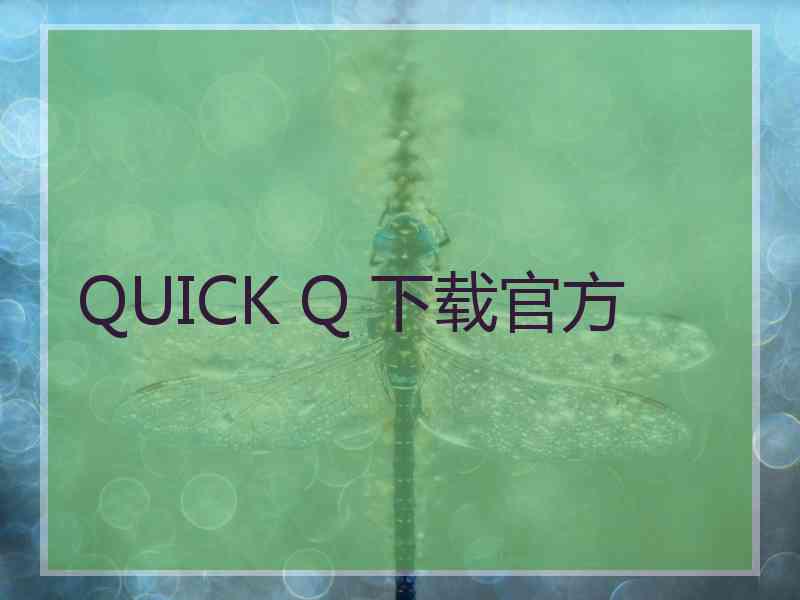 QUICK Q 下载官方