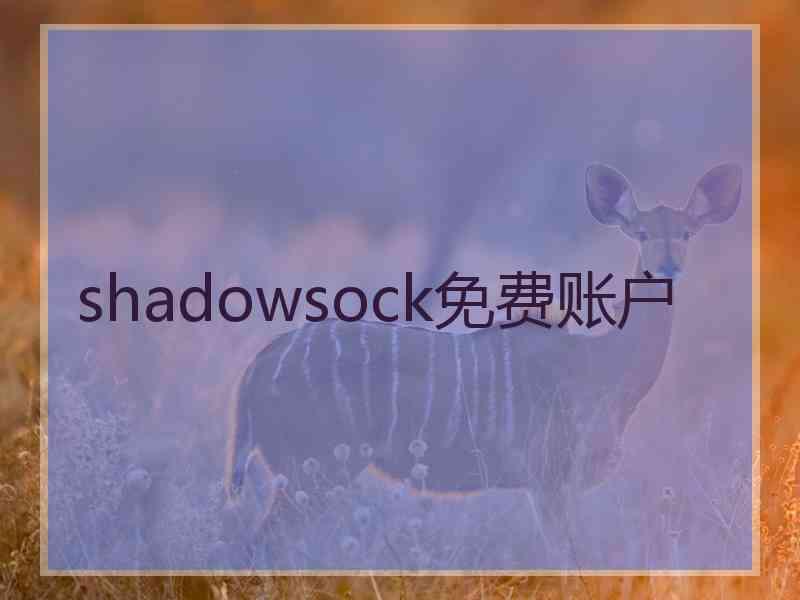 shadowsock免费账户