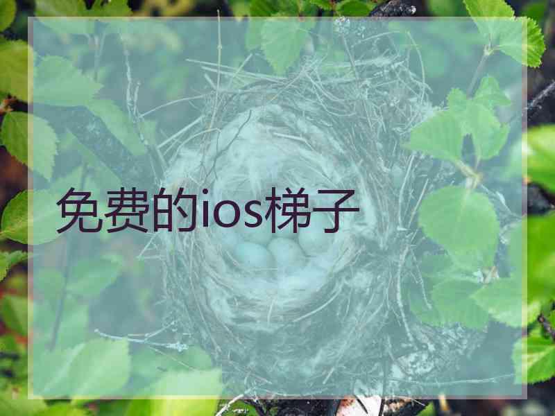 免费的ios梯子