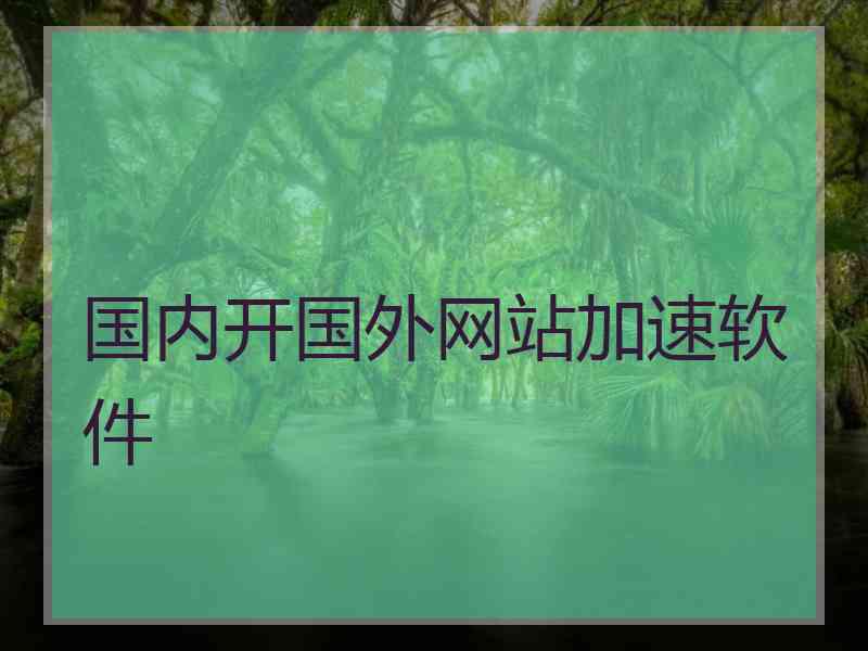 国内开国外网站加速软件