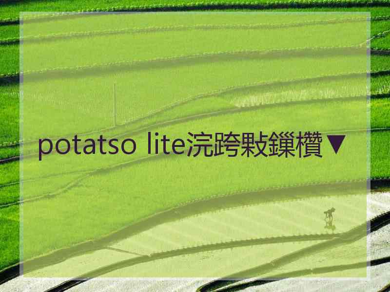 potatso lite浣跨敤鏁欑▼