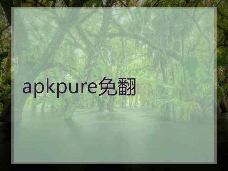 apkpure免翻