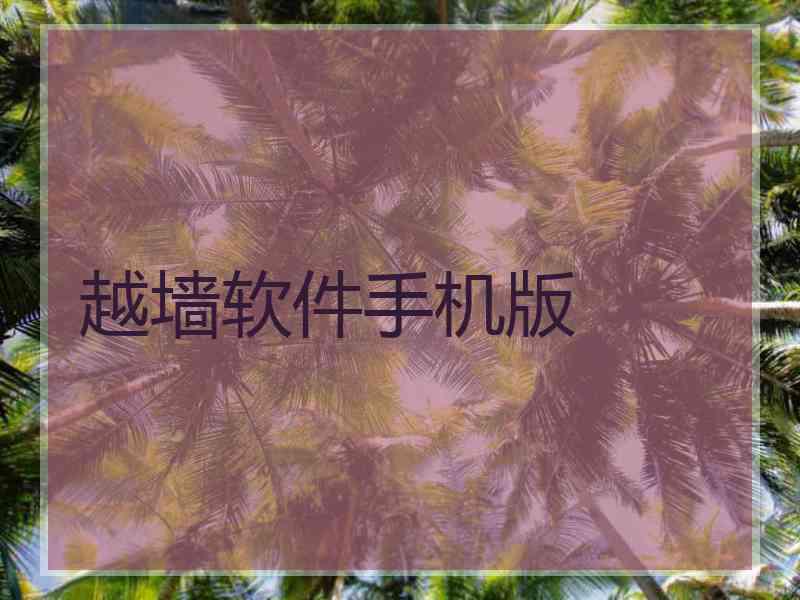 越墙软件手机版