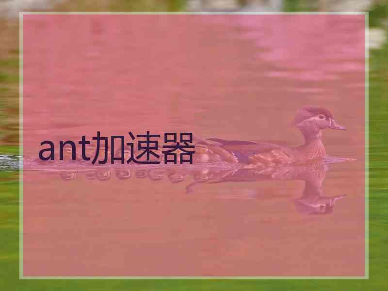 ant加速器