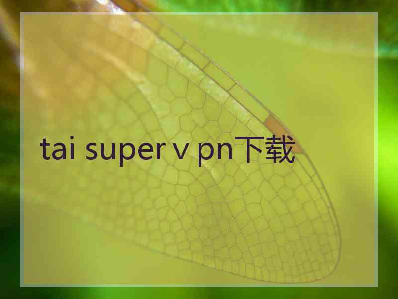 tai superⅴpn下载