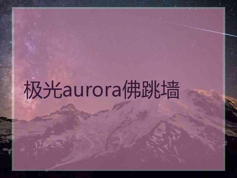 极光aurora佛跳墙