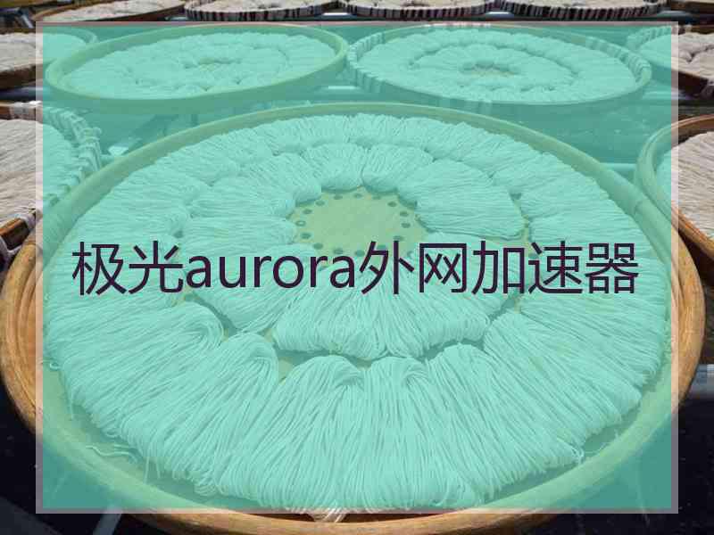 极光aurora外网加速器