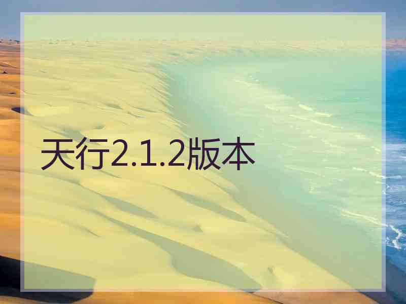 天行2.1.2版本