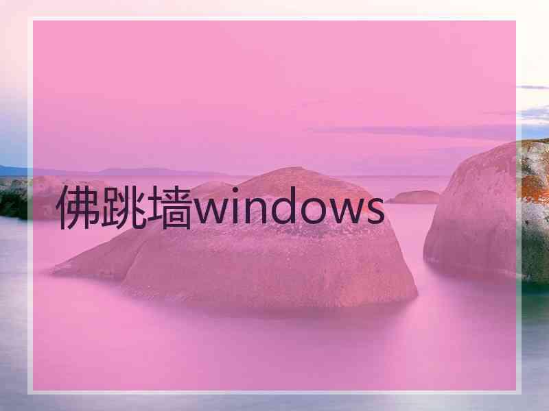 佛跳墙windows