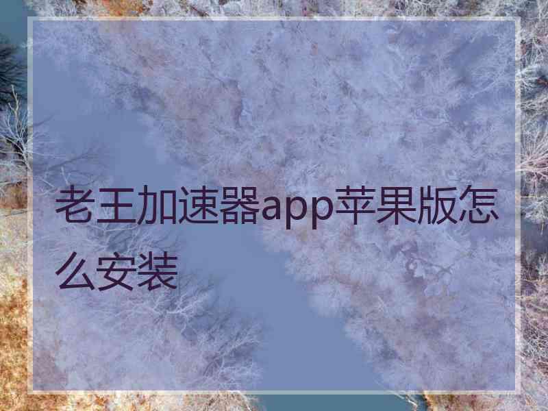 老王加速器app苹果版怎么安装