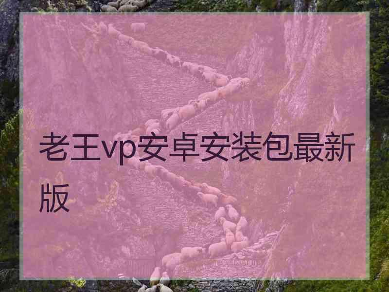 老王vp安卓安装包最新版