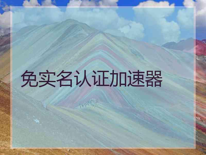 免实名认证加速器