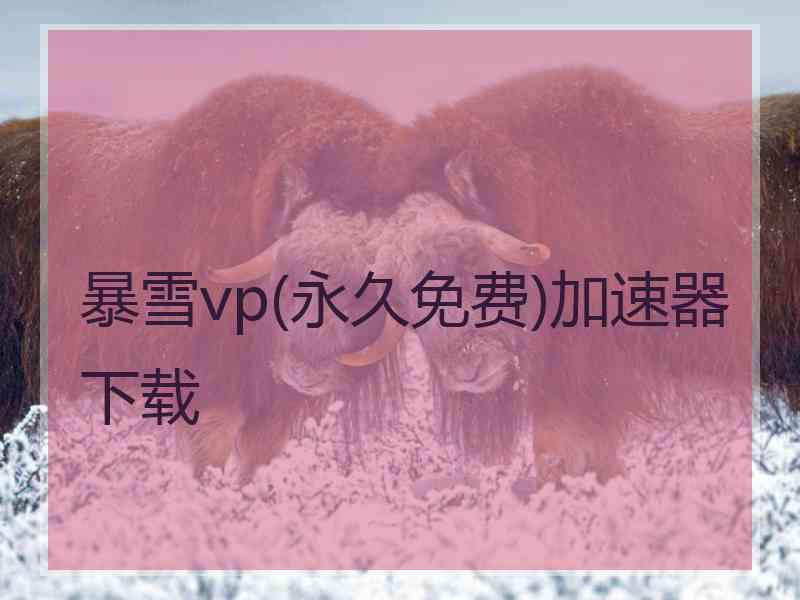 暴雪vp(永久免费)加速器下载