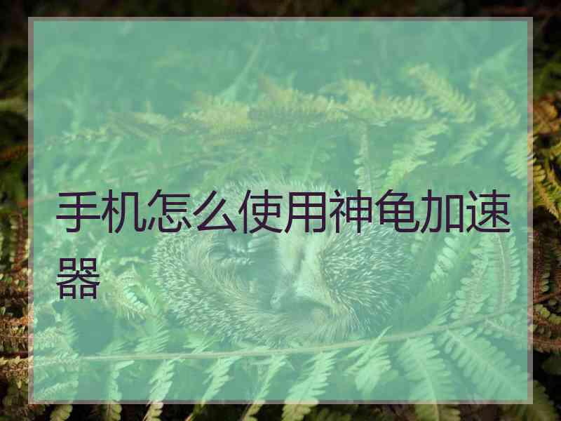 手机怎么使用神龟加速器