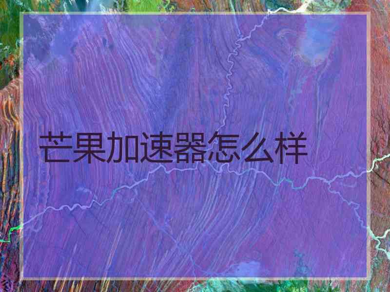 芒果加速器怎么样