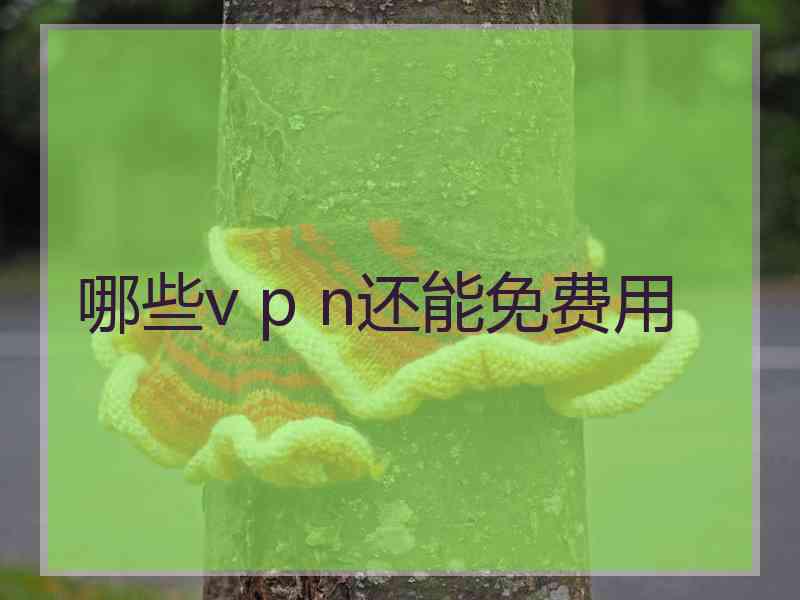 哪些v p n还能免费用