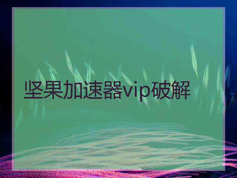 坚果加速器vip破解