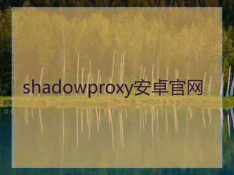 shadowproxy安卓官网