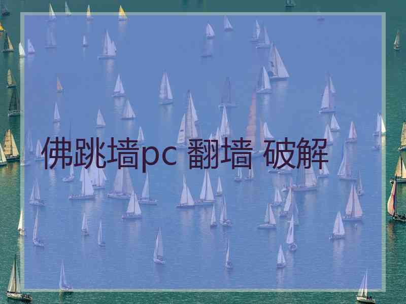 佛跳墙pc 翻墙 破解