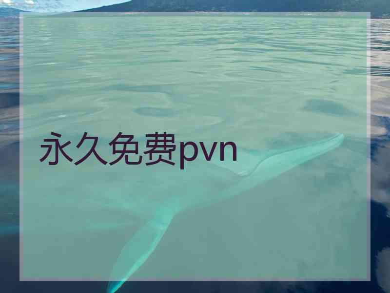 永久免费pvn