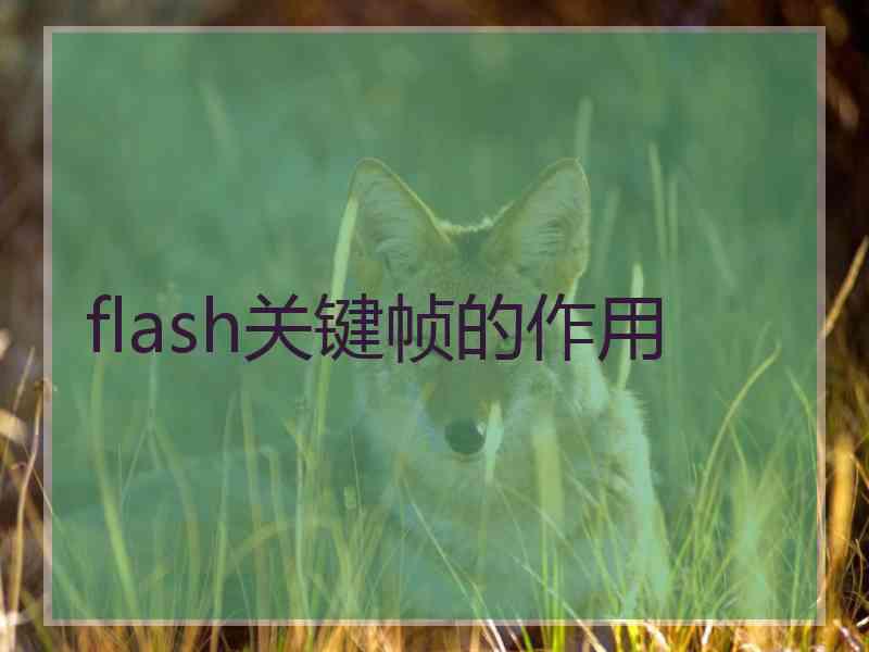 flash关键帧的作用