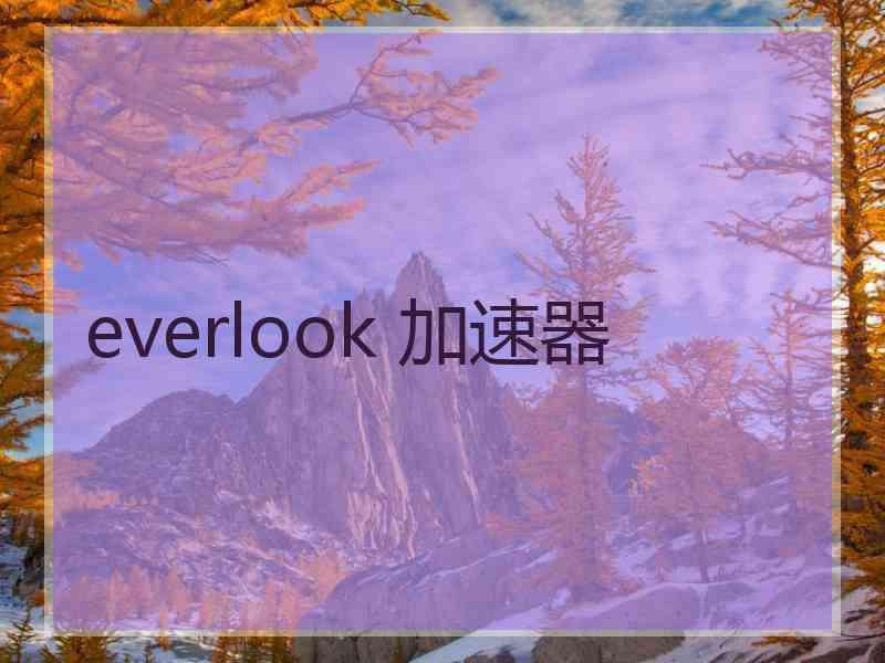 everlook 加速器