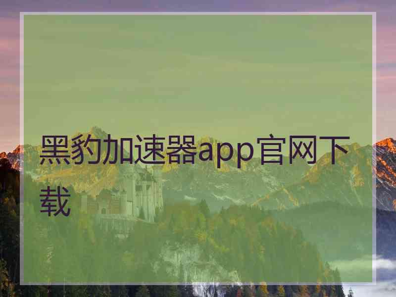 黑豹加速器app官网下载