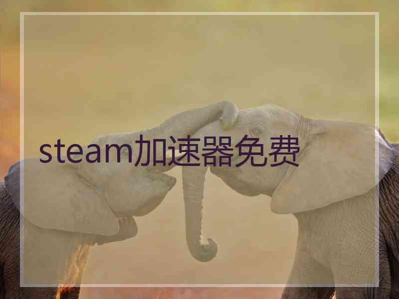 steam加速器免费