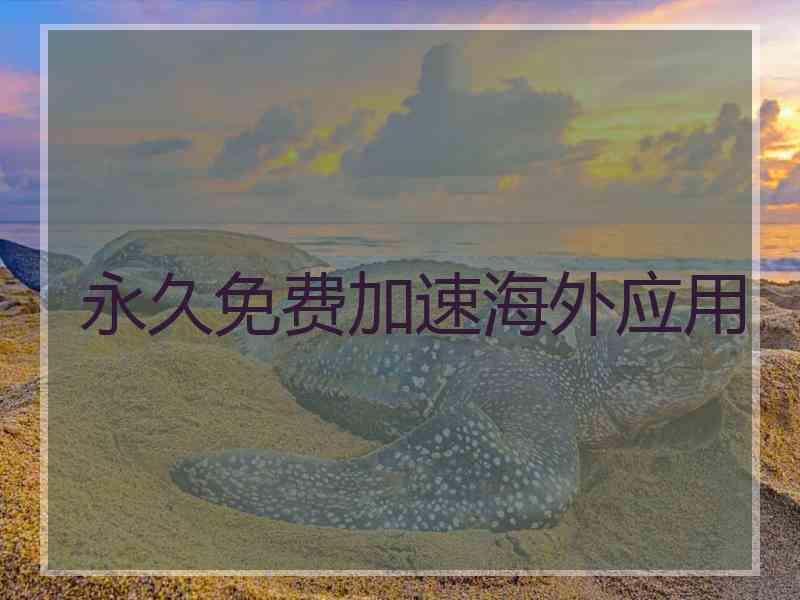 永久免费加速海外应用