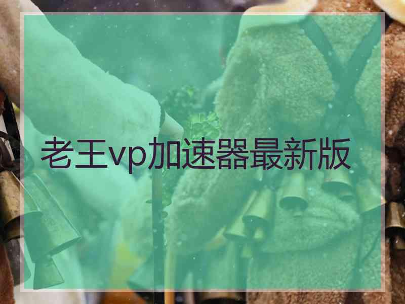 老王vp加速器最新版