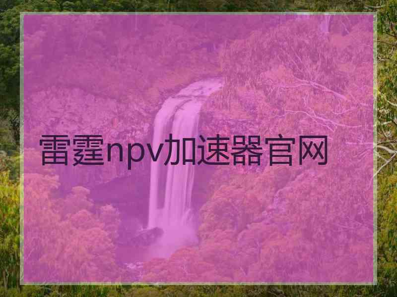 雷霆npv加速器官网