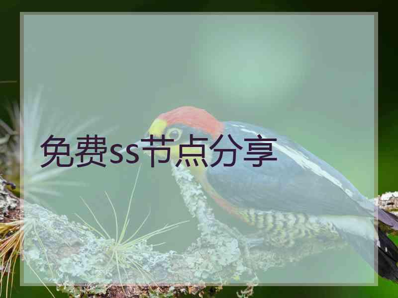 免费ss节点分享