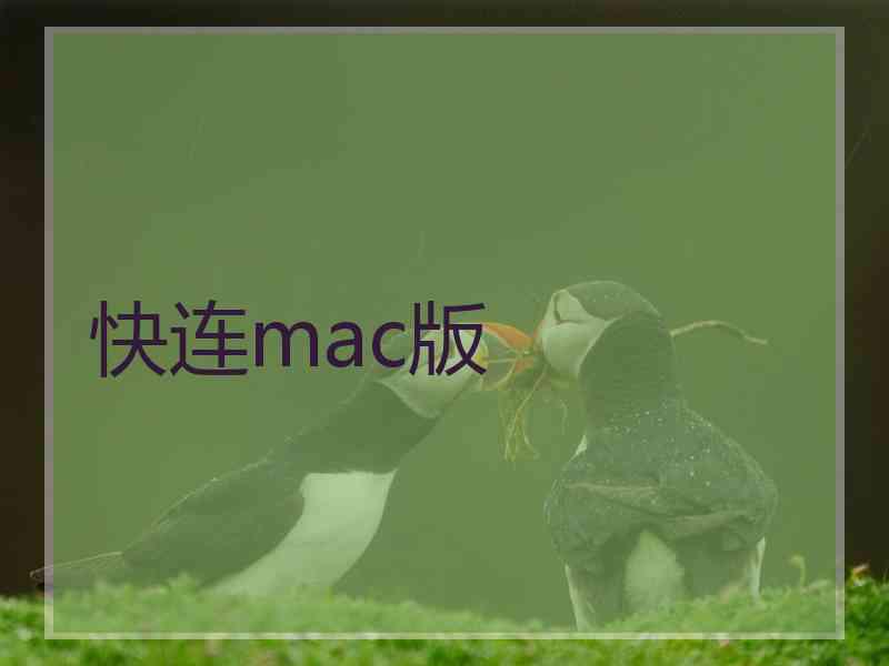 快连mac版