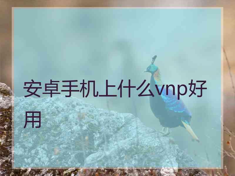 安卓手机上什么vnp好用