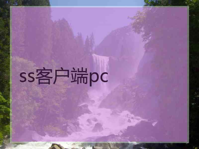 ss客户端pc