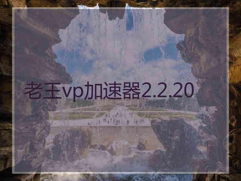 老王vp加速器2.2.20