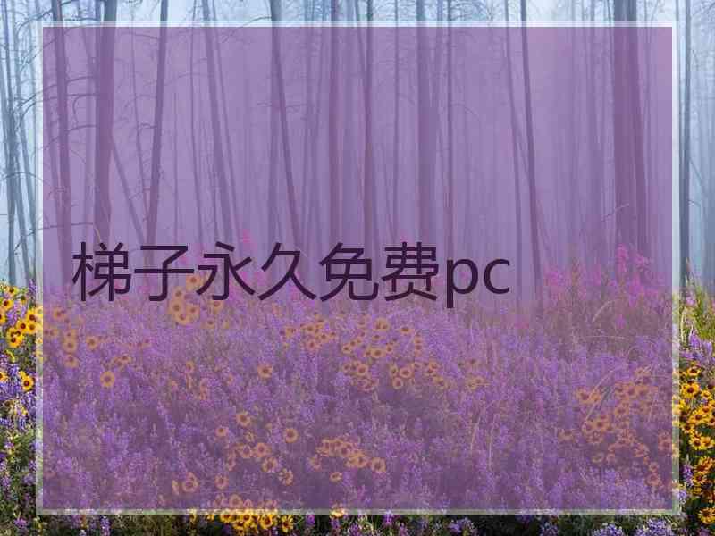 梯子永久免费pc