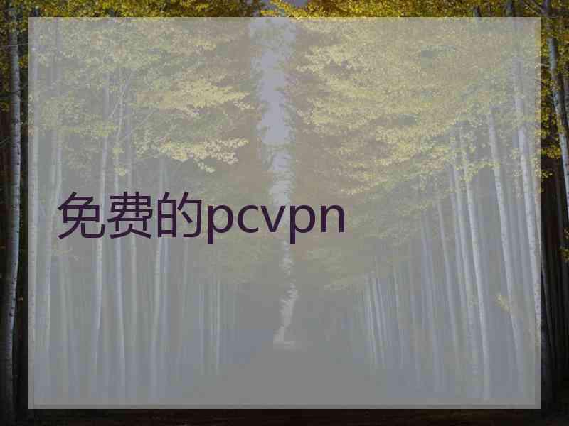 免费的pcvpn