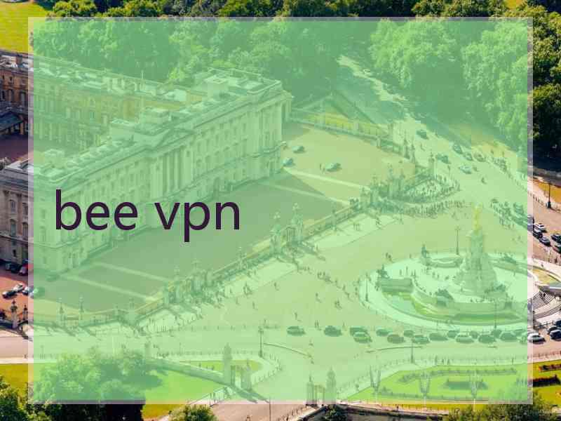 bee vpn